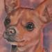 Tattoos - Chiquita - 42117